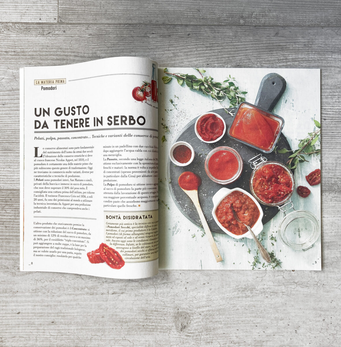 Sugo Creativo