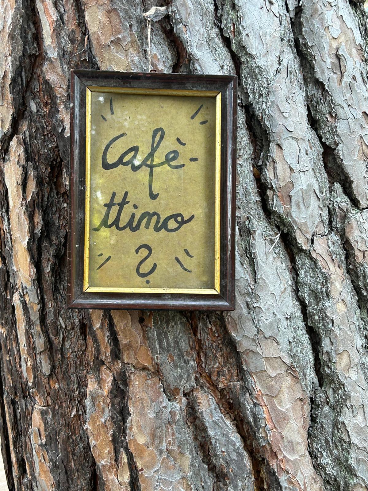 Ricerca fotografica e ispirazione creativa di Sugo Creativo