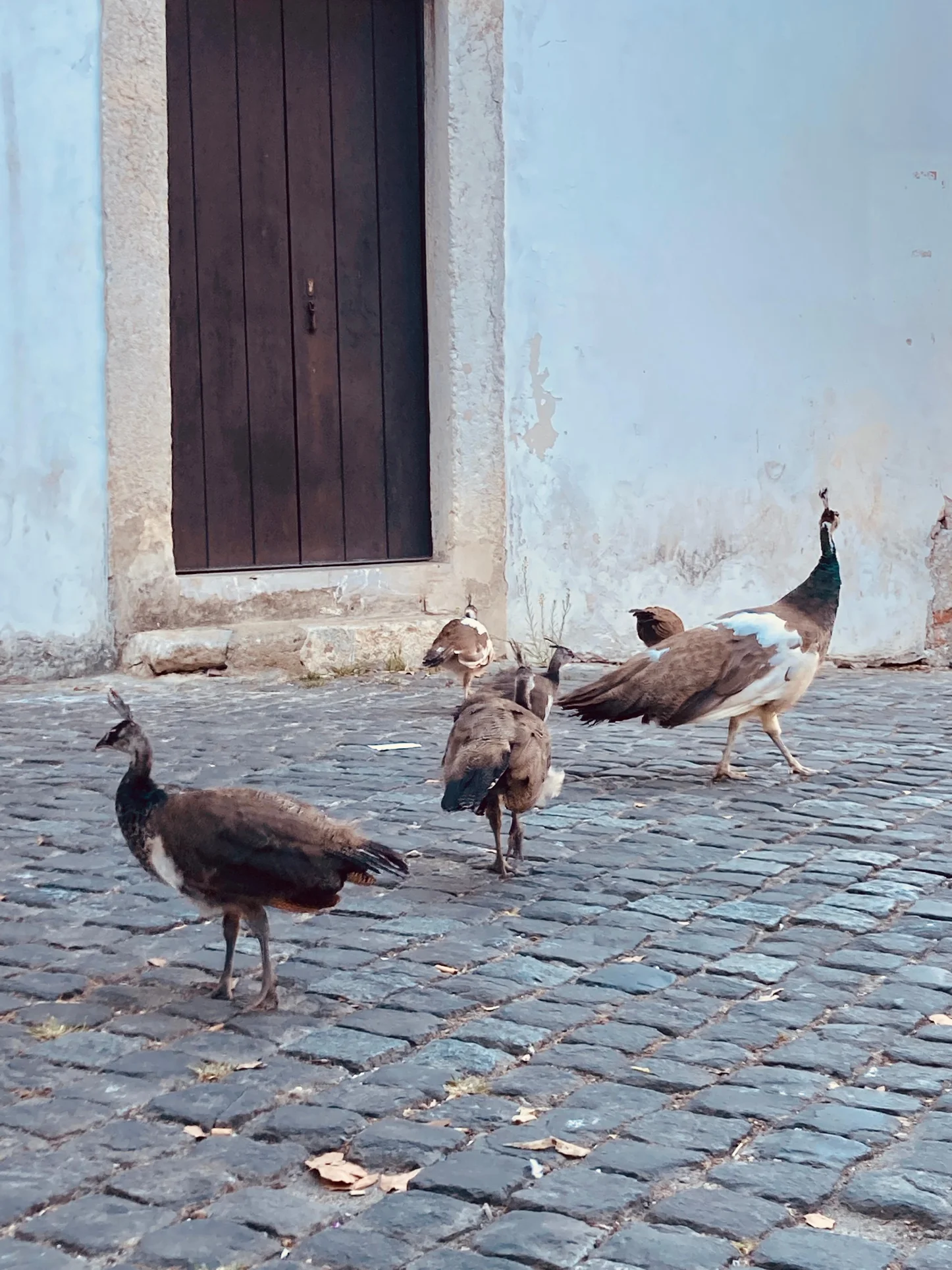 Ricerca fotografica e ispirazione creativa di Sugo Creativo